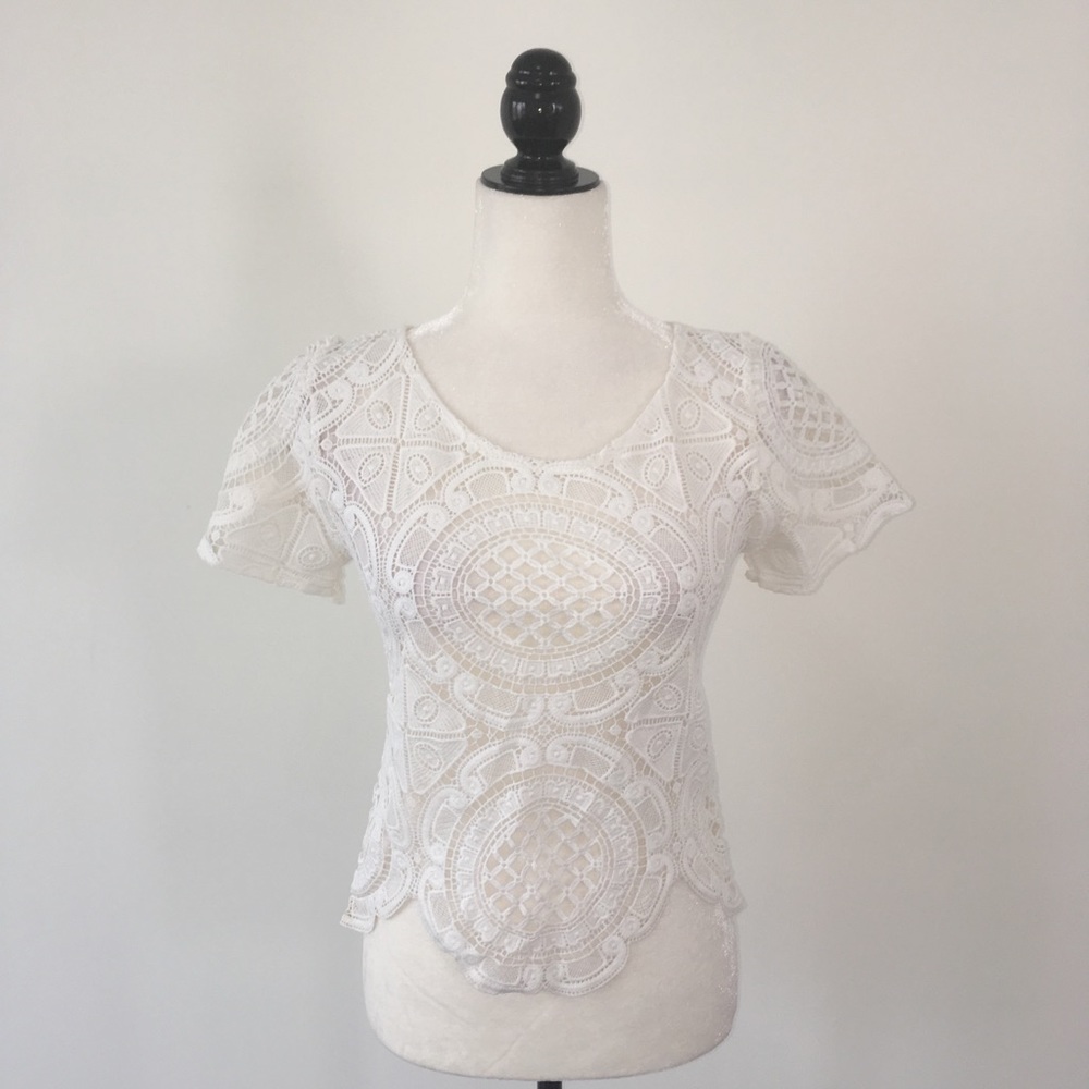 White Lace Top - Picture 5 of 5